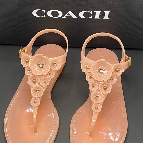 coach tea rose jelly sandals
